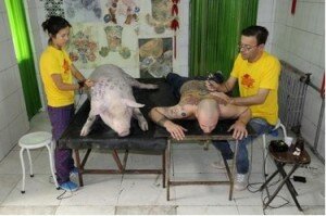 pig-art-tatoo