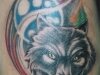 Colorful Wolf on Arm