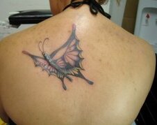 butterfly scar tattoo